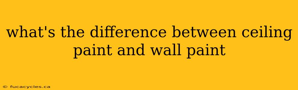 what's the difference between ceiling paint and wall paint