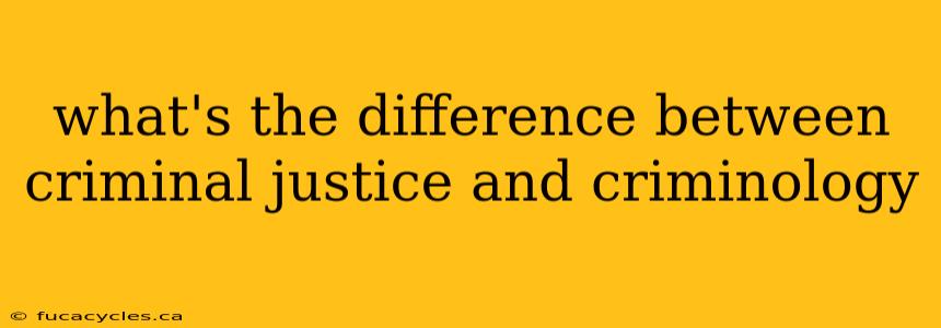 what's the difference between criminal justice and criminology