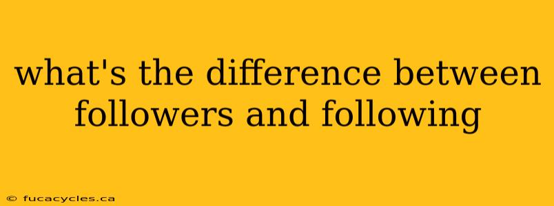 what's the difference between followers and following