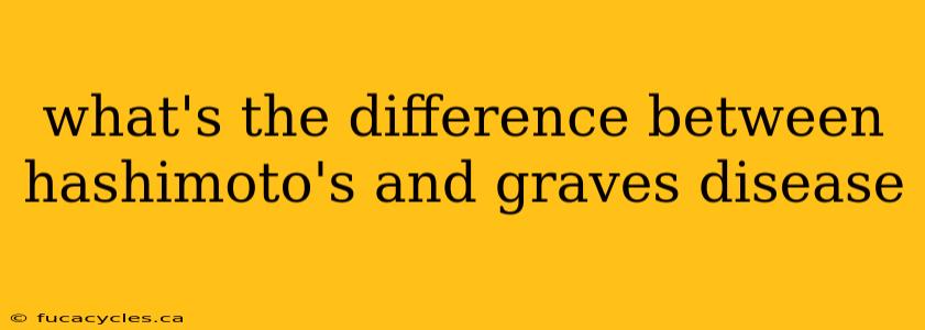 what's the difference between hashimoto's and graves disease