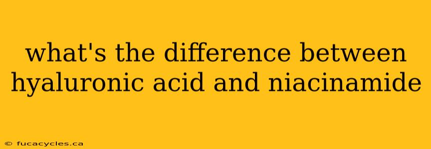 what's the difference between hyaluronic acid and niacinamide