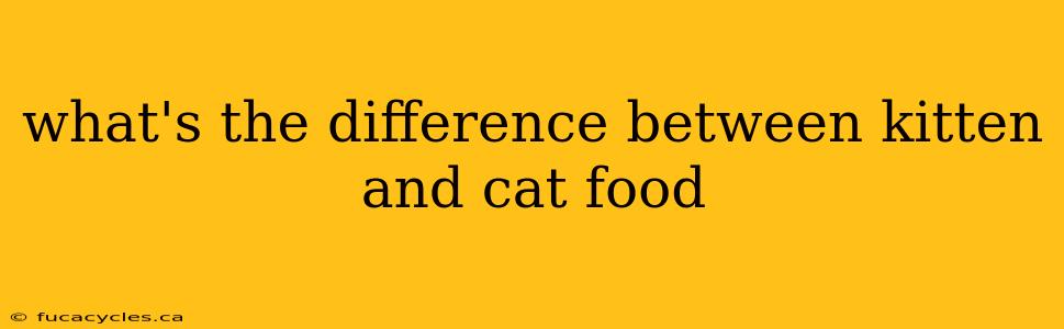 what's the difference between kitten and cat food