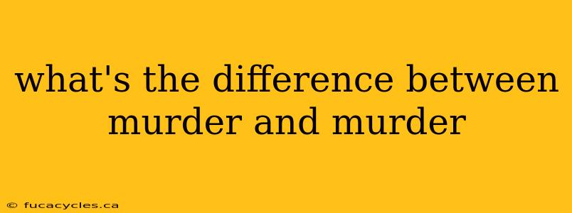 what's the difference between murder and murder