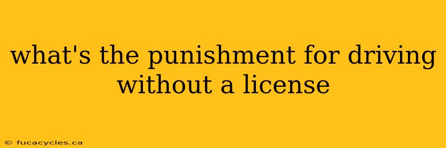 what's the punishment for driving without a license