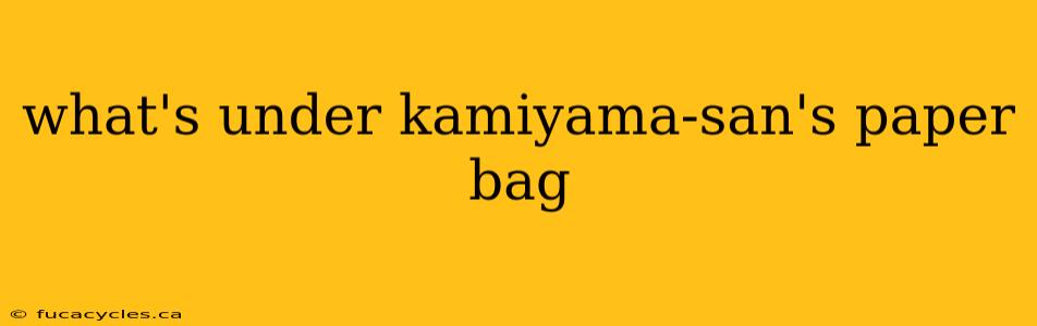 what's under kamiyama-san's paper bag