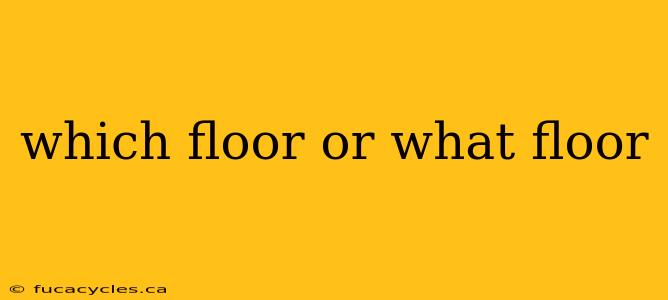 which floor or what floor