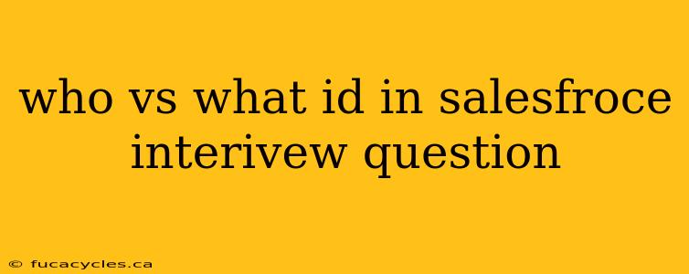 who vs what id in salesfroce interivew question